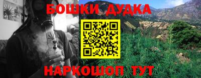 индика Гусиноозёрск